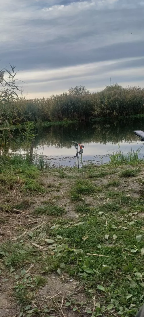 Nyugati-főcsatorna horgászhely képe – Polgár