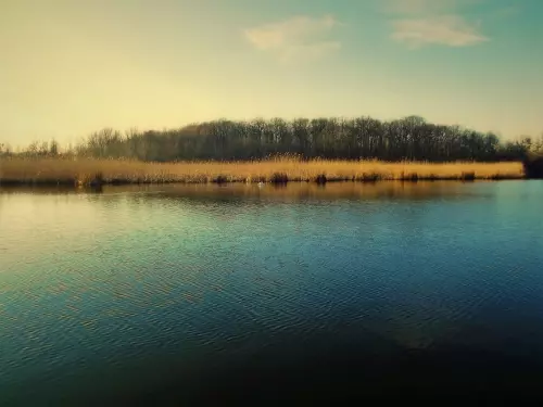 Horgászhely: Külső-Béda