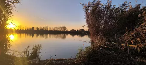 Horgászhely: Fás-tó