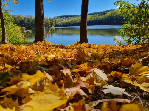 Acélgyári Horgásztó - Galéria kép