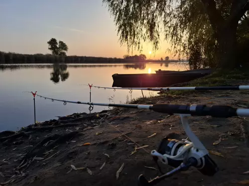 Horgászhely: Fűzfás-zugi-holtág