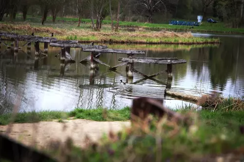 Nagyatádi Csónakázó-tó - Galéria kép