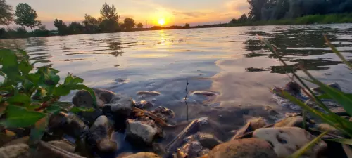 Szanki Horgásztó - Galéria kép