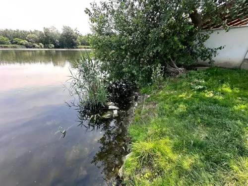 Tiszaladányi Holt-Tisza - Galéria kép