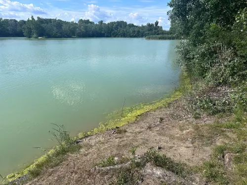 Tolnai-tó - Galéria kép