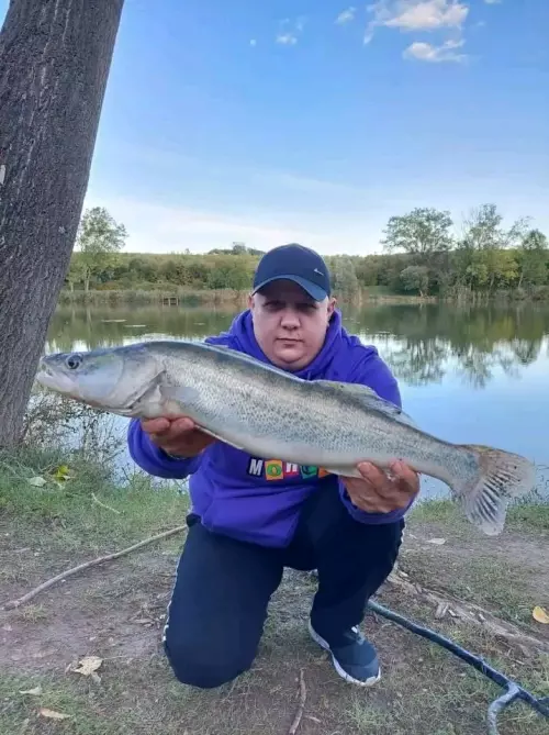 Ököritófülpös horgásztó - Galéria kép