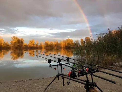 Király Ponty horgásztó - Galéria kép