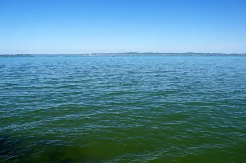 Horgászhely: Balaton, örvényesi partszakasz