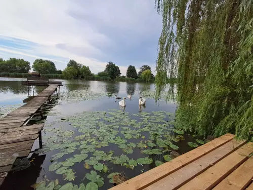 Horgászhely: Kutasi horgásztó