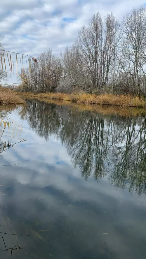 Horgászhely: Kiskunsági Öntöző Főcsatorna
