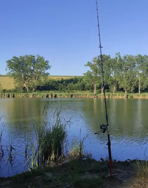 Boldogasszonyfa Horgásztanya - Galéria kép
