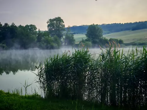 Bakonycsernyei Horgásztó - Galéria kép