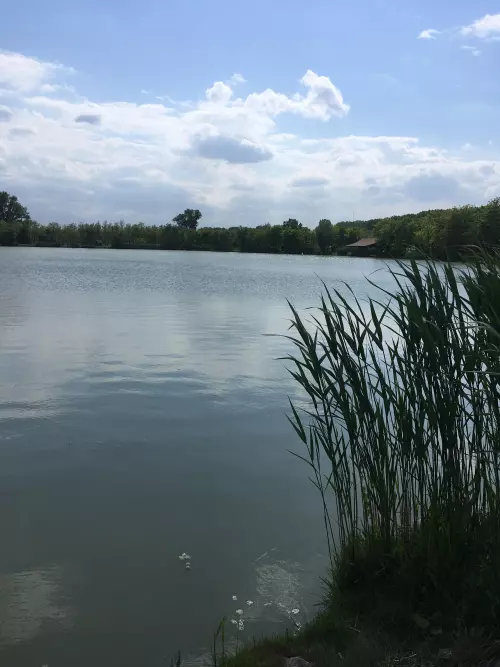 Tíztó Horgásztó - Galéria kép