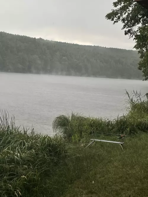 Hársas-tó - Galéria kép