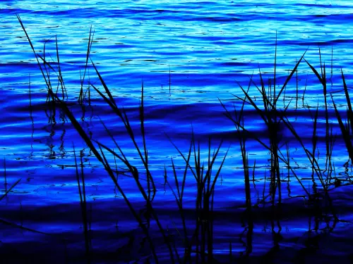 Szelidi-tó - Galéria kép