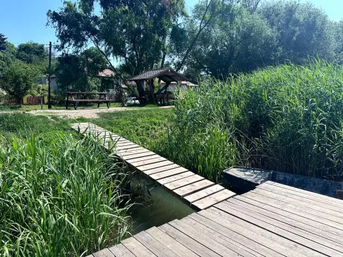 Harsányi horgásztó - Galéria kép