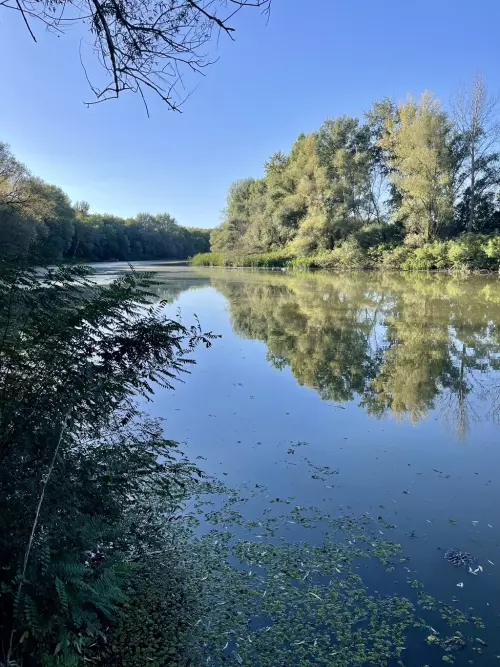 Kis-Tisza holtág - Galéria kép