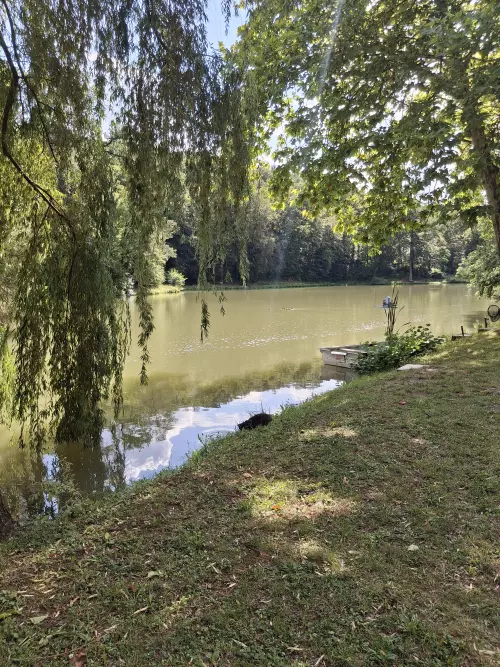 Horgászhely: Sikondai Horgásztó