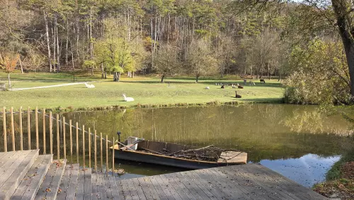 Diána és Zoltán horgásztó - Galéria kép