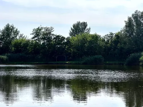 Homokos-tó - Galéria kép