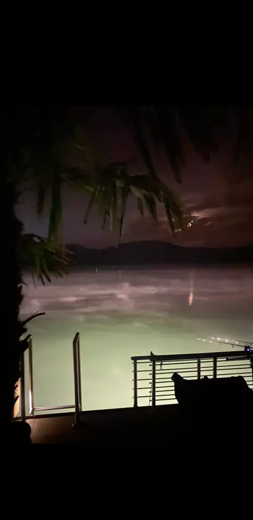 Horgászhely: Palatinus-tó