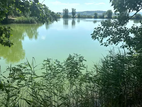 Sajószentpéteri halastó - Galéria kép