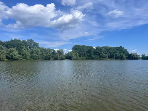 Örösi-tó - Galéria kép