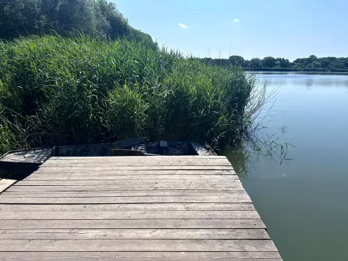 Harsányi horgásztó - Galéria kép