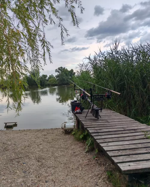 Király Ponty horgásztó horgászhely képe – Mocsa