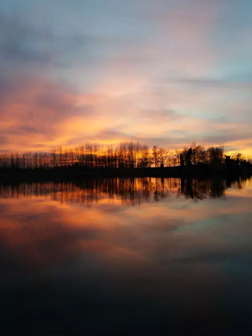 Bácsbokodi Horgásztavak - Galéria kép