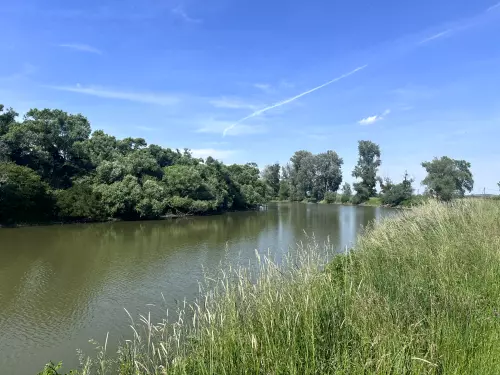 Alsóberecki-holtág (Sulc holtág) - Galéria kép