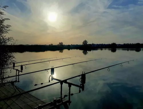 Horgászhely: Megafish Horgásztavak