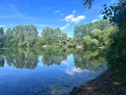 Erdészeti tó - Galéria kép