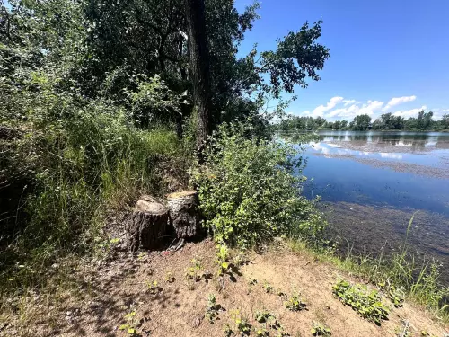 Hejőkürti homokbányató - Galéria kép