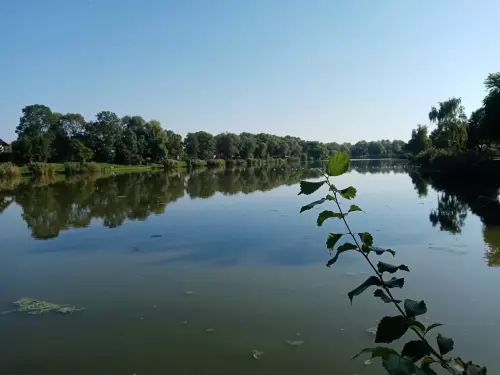 Park-tó - Galéria kép