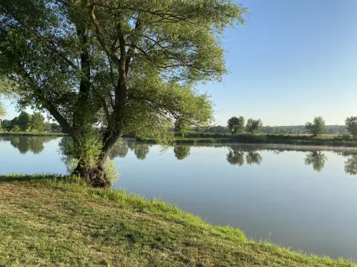 Ceglédberceli Tőzeg tavak - Galéria kép