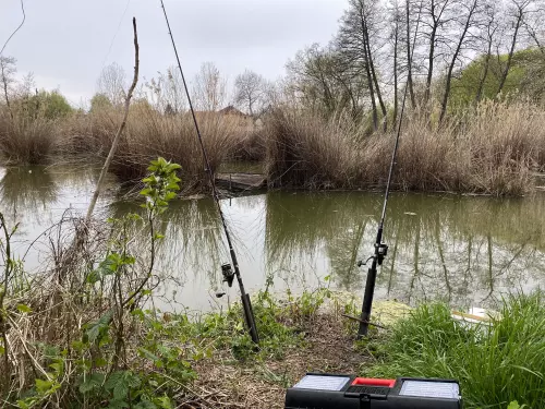 Tőzeges Tó - Galéria kép