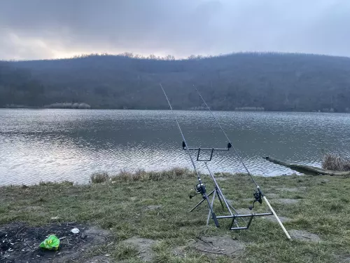 Horgászhely: Sülysápi Horgásztavak