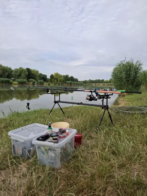 Tiszakécskei holtág - Galéria kép