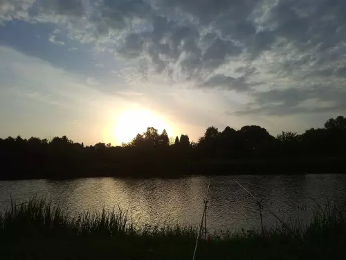 Horgászhely: Nagyatádi Csónakázó-tó