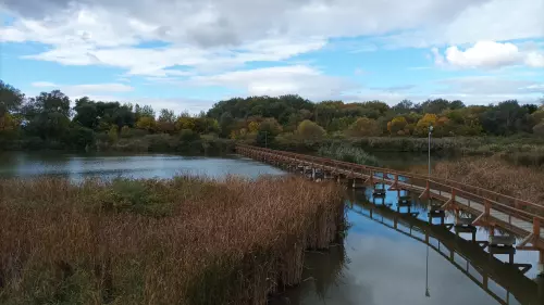 Kenyérgyári-holtág - Galéria kép