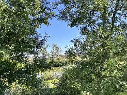 Delfin Kikötő - Galéria kép