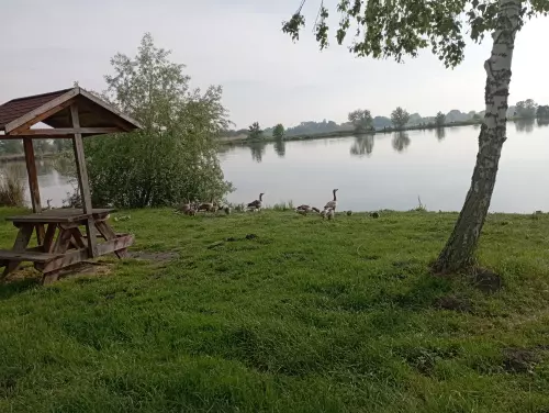 Aranyponty horgászcentrum - Galéria kép