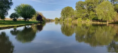 Horgászhely: Deszki-tó