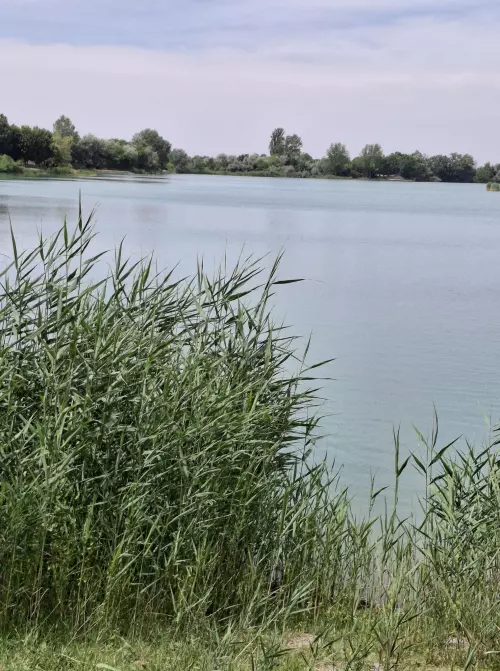 Malév horgásztó - Galéria kép