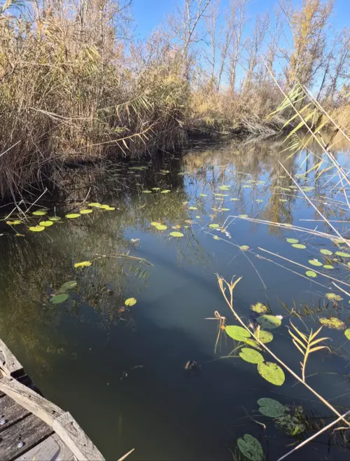 Kék tó - Galéria kép