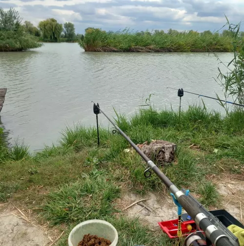 Akasztói Horgászpark - Galéria kép