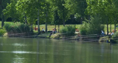 Törökbálinti-tó - Galéria kép