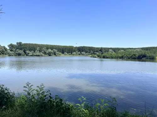 Tiszatarjáni Holt-Tisza - Galéria kép