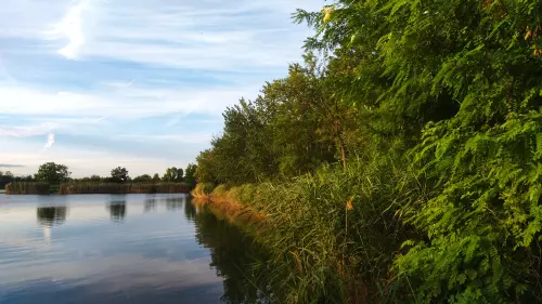Tagi bányató - Galéria kép